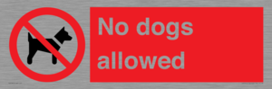 No dogs allowed